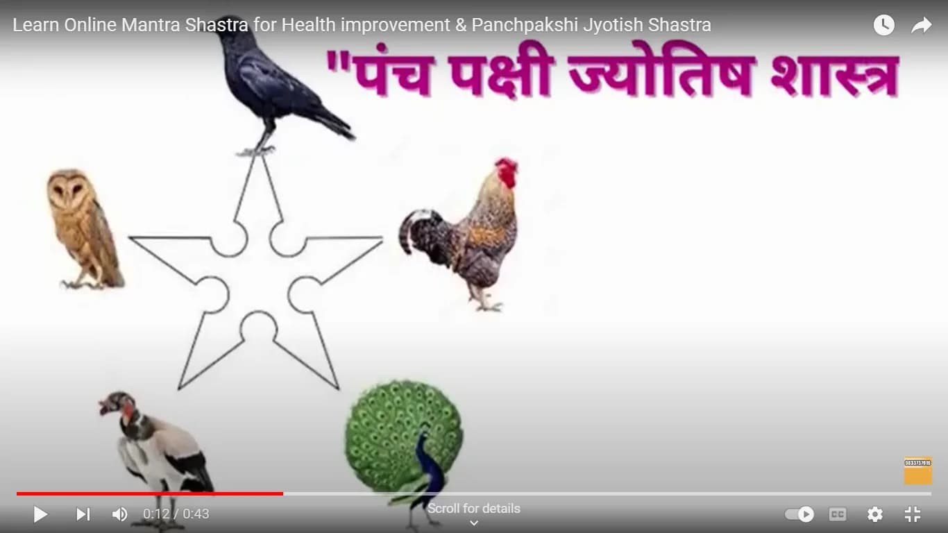 Panch Pakshi Jyotish Shastra and Mantra Shastra for Health