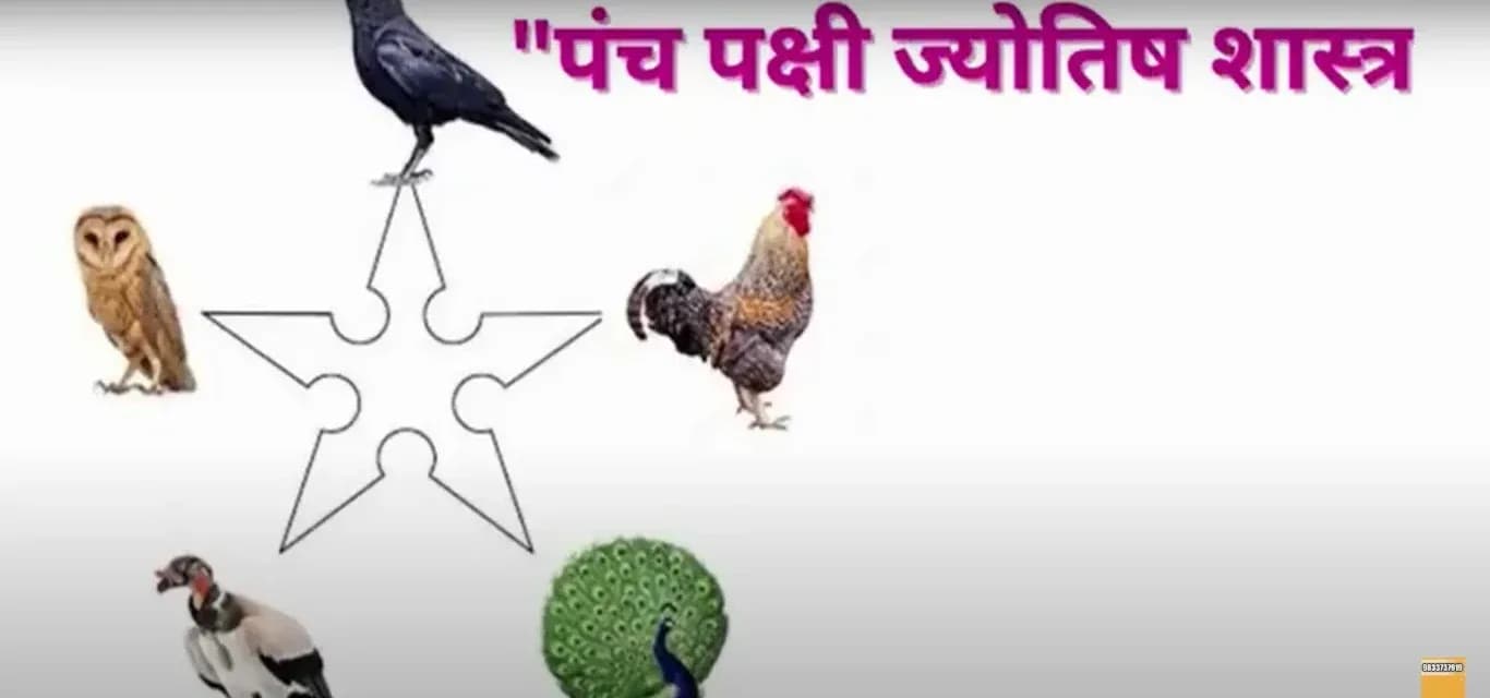 The five birds of Panch Pakshi Jyotish Shastra around a five-pointed star